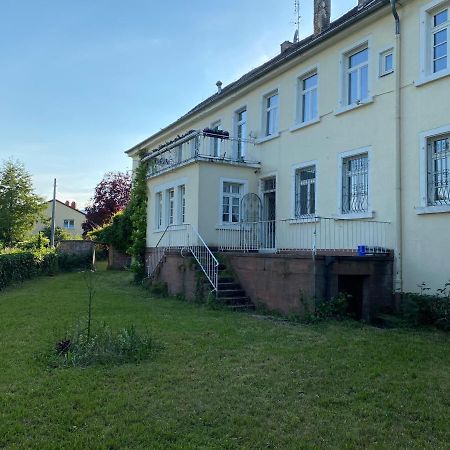 Schloss Hainfeld Exteriér fotografie