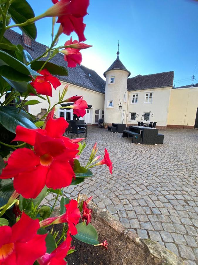 Schloss Hainfeld Exteriér fotografie